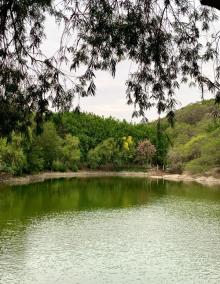 泉州森林公园1
