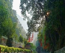 安溪龙门森林公园14