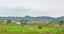 小密花乡景区10