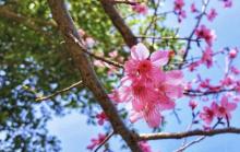 灵源寺4