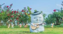 红都幸福花海7