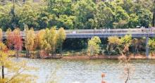东坪山公园13