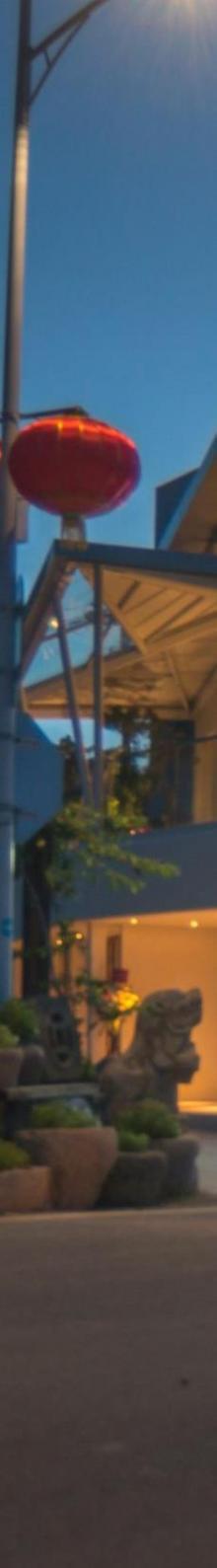 东坪山公园10