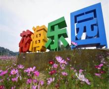 桃源里旅游度假区花海乐园18