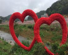 桃源里旅游度假区花海乐园23