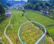 桃源里旅游度假区花海乐园17