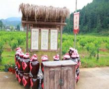 桃源里旅游度假区花海乐园16