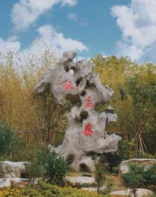 桃花岛7