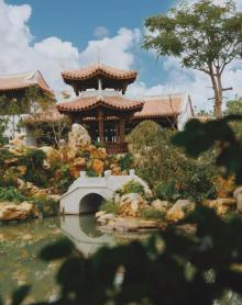 桃花岛3