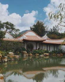 桃花岛5
