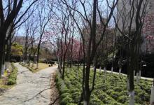金榜公园9