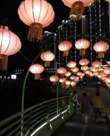 彩虹桥6