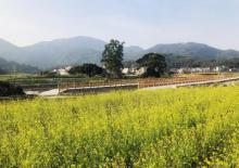 长泰古山重19