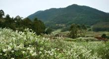 长泰古山重27