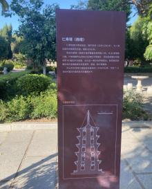 仁寿塔7