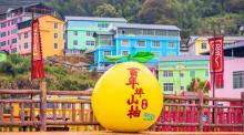 七彩官畲20