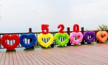 七彩官畲22