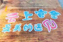 七彩官畲18