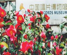 中国唱片博物馆1