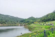 上李水库7