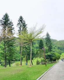 上李水库5