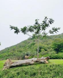 上李水库6