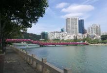 筼筜湖17