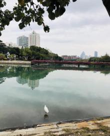 筼筜湖16