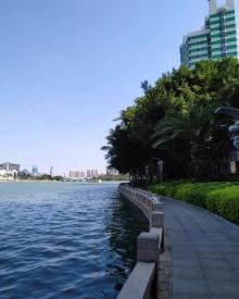 筼筜湖18