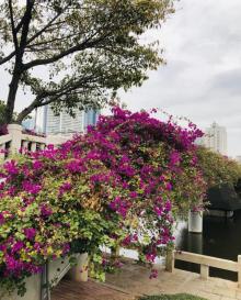 筼筜湖15