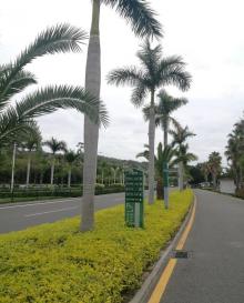音乐广场(环岛南路)13