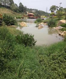 紫帽山省级旅游度假区15