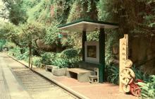 铁路文化公园13