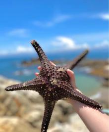 厦金湾赶海场2