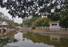 中山公园27