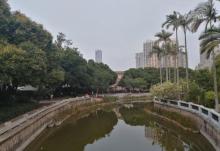 中山公园28