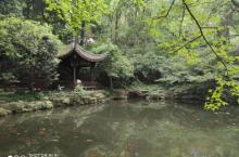 西湖公园16