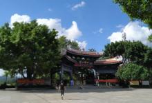 西湖公园13