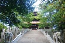 西湖公园29
