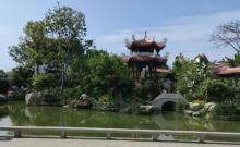 西湖公园2