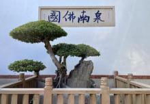 承天禅寺8
