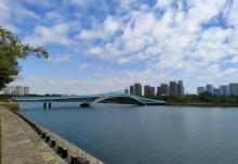 五缘湾湿地公园22