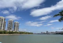 五缘湾湿地公园18