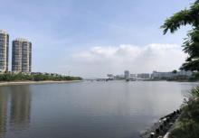 五缘湾湿地公园28