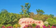 五缘湾湿地公园11