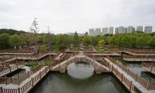 五缘湾湿地公园20