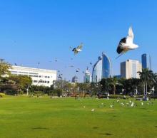 白鹭洲公园20