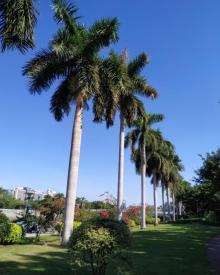 白鹭洲公园24