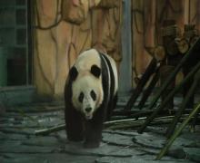 泉州海丝野生动物世界28