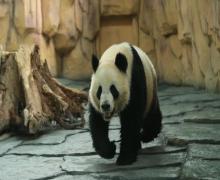 泉州海丝野生动物世界24
